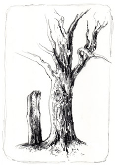 Baum & Basalt II (Daniel Kufner 2022)