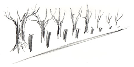 Baum & Basalt III (Daniel Kufner 2022)
