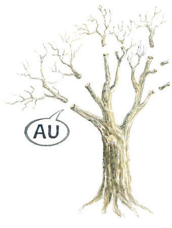 B"AU"MPFLEGE / Illustration von Daniel Kufner (2019)